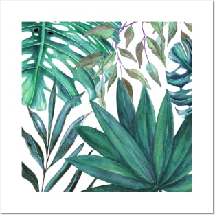 Monstera and palm leaves Posters and Art